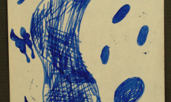 Butterflies study