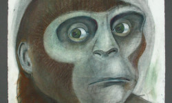 Caveman head  2005
