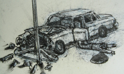 Car Hit Pole 1 victim detail