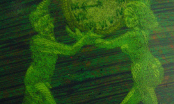 Timepiece (green) detail 2