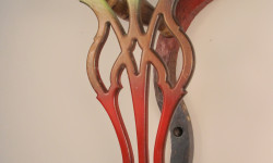 Rackets 6, front view