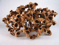 Shellwork #1