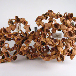 Shellwork #2