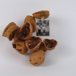 Shellwork #14