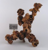 Shellwork #24