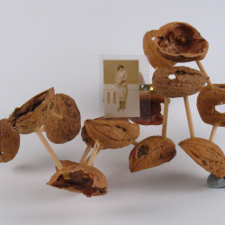 Shellwork #35