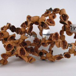 Shellwork #4
