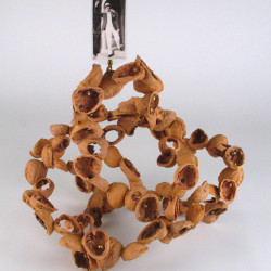 Shellwork #7