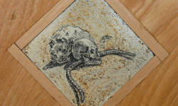 Skul, Rock, Snake, lino. 1982